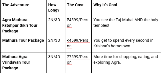 Mathura Vrindavan tour package
