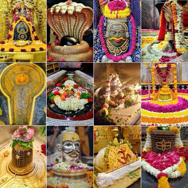 12 JOYTRILING TOUR PACAKGE