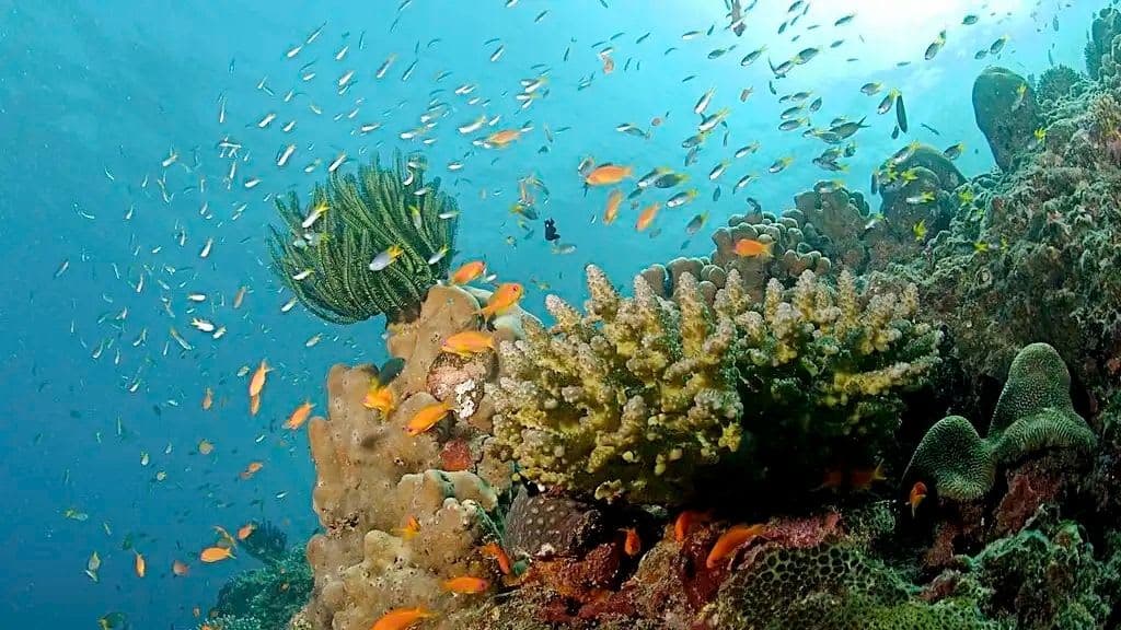 ANDAMAN SHORT STORY