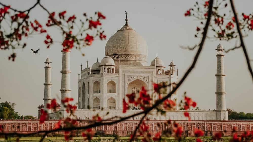 DELHI , MANDWA & JAIPUR , AGRA TOUR PACKAGE