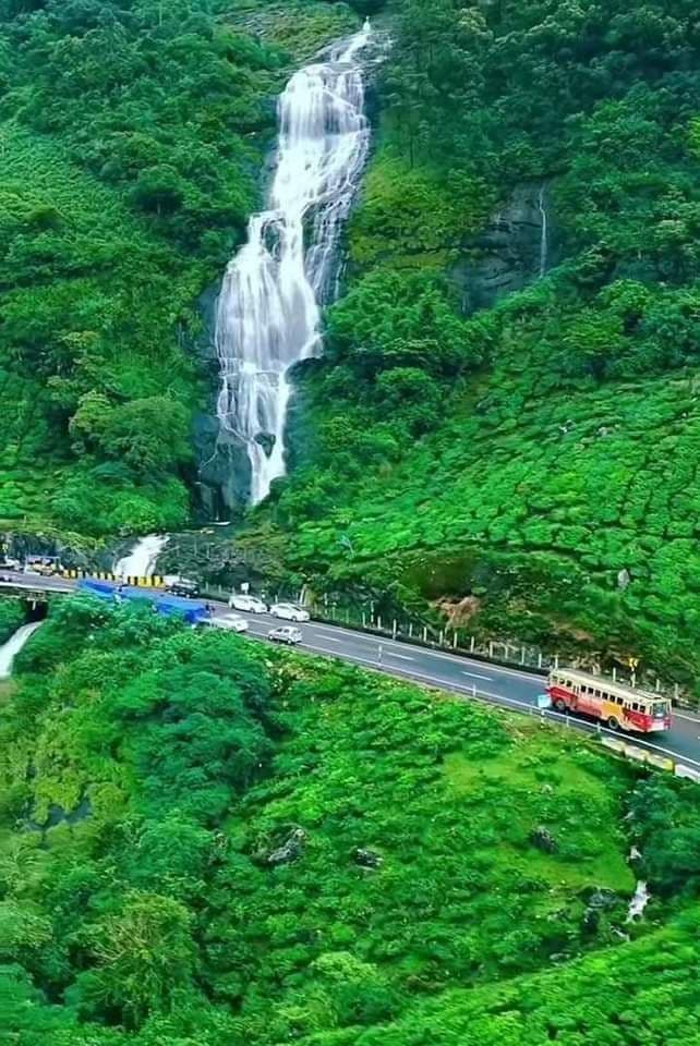 MUNNAR SPECIAL TOUR
