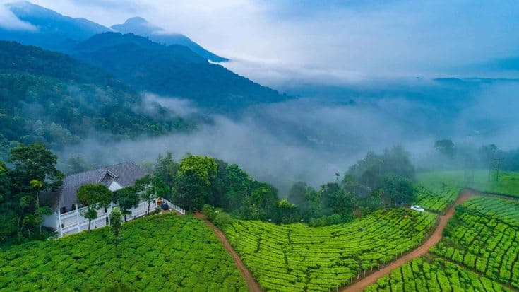 MUNNAR SPECIAL TOUR