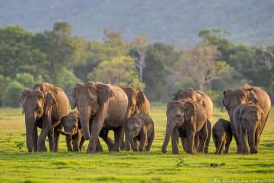 COCHINE MUNNAR THEKKADY ALLEPY HOUSEBOAT SPECIAL TOUR