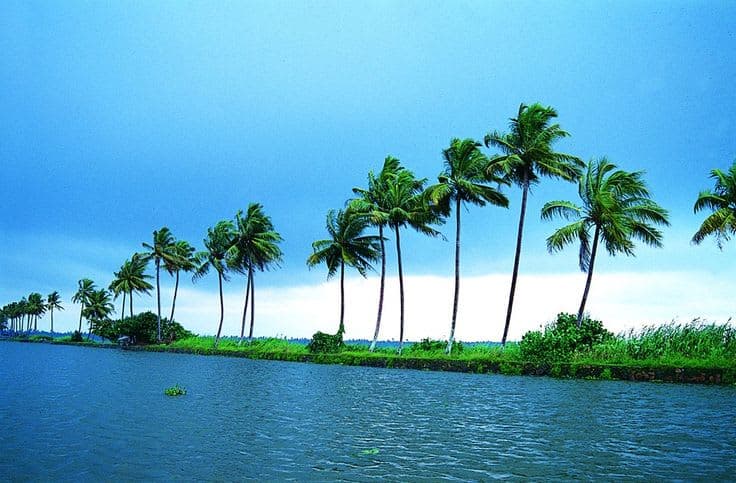 KOCHI MUNNAR & ALLEPY TOUR