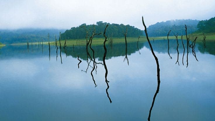 KERLA TOUR PACKAGE EX COCHINE