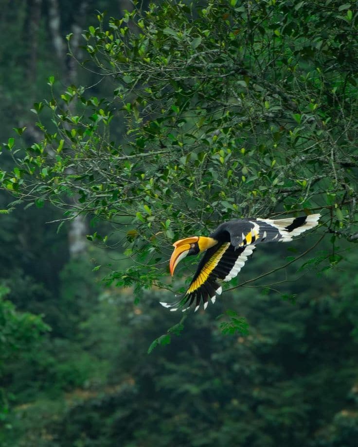 KERLA TOUR PACKAGE EX COCHINE