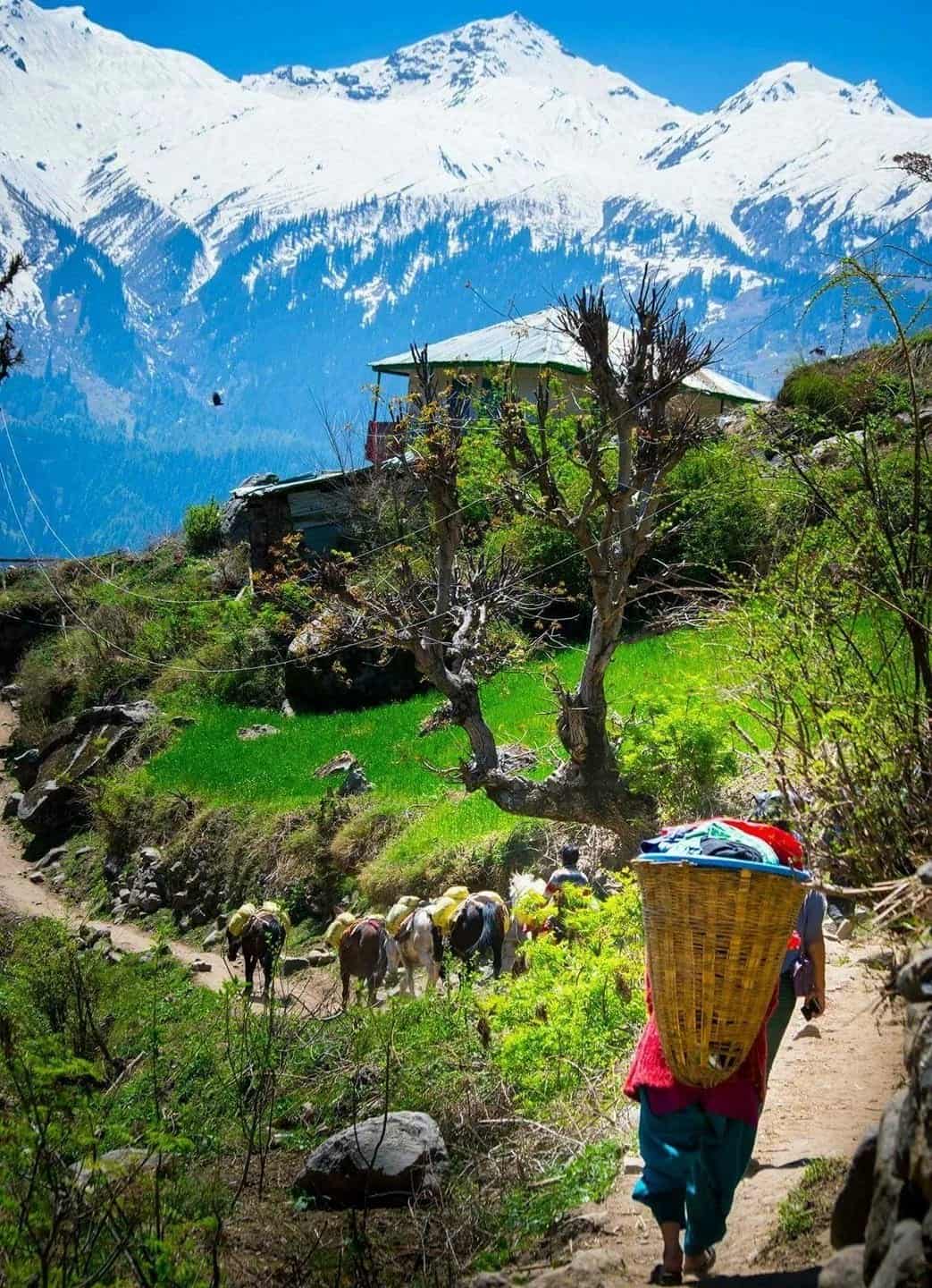 KAUSANI HONEYMON PACKAGE