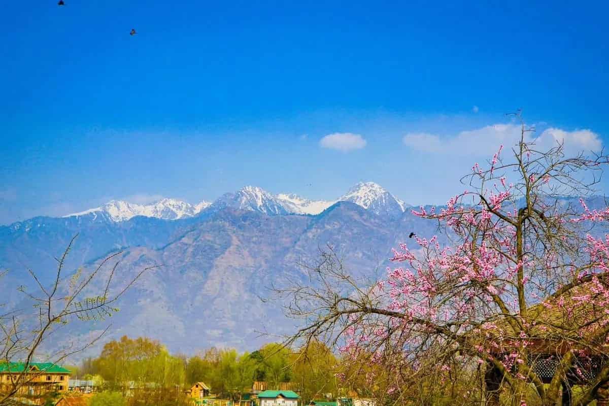 KASHMIR TOUR WITH PATNITOP