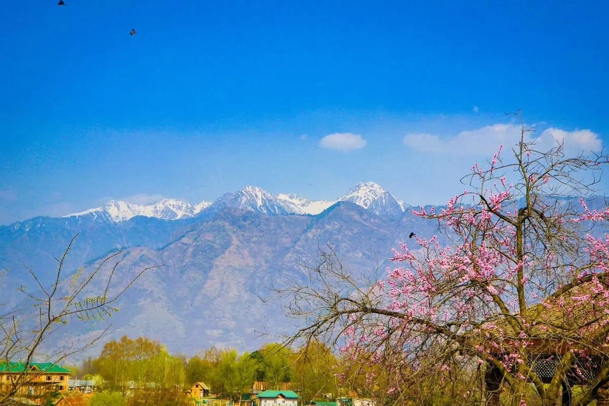 KASHMIR TOUR WITH PATNITOP