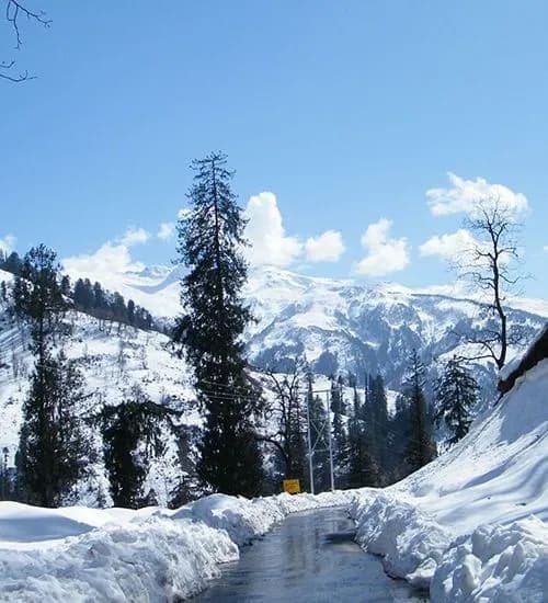 SHIMLA TOUR PACKAGE