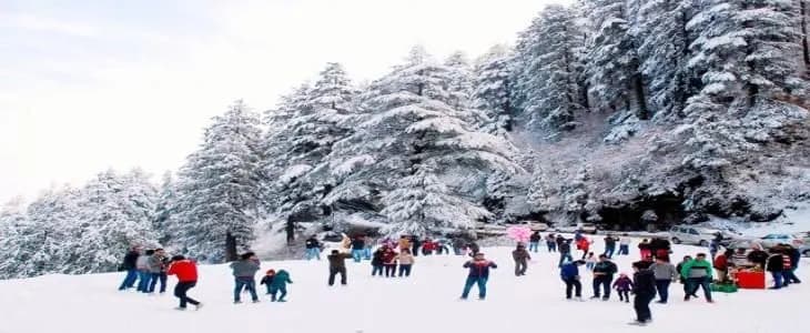 SHIMLA TOUR PACKAGE