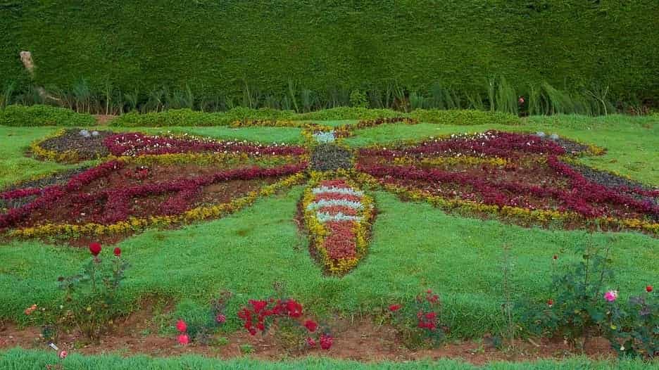 OOTY TOUR PACKAGE