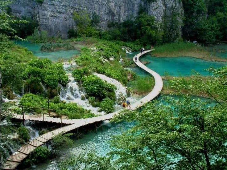 Shillong & Cherrapunji Tour